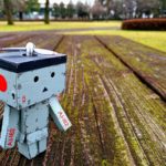 スマホカメラでピントが合わない?そんな時はこれを試してみよう!