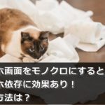 スマホ画面をモノクロにするとスマホ依存に効果あり!設定方法は?