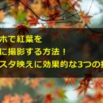スマホで紅葉を撮影する方法!インスタ映えに効果的な3つの撮り方