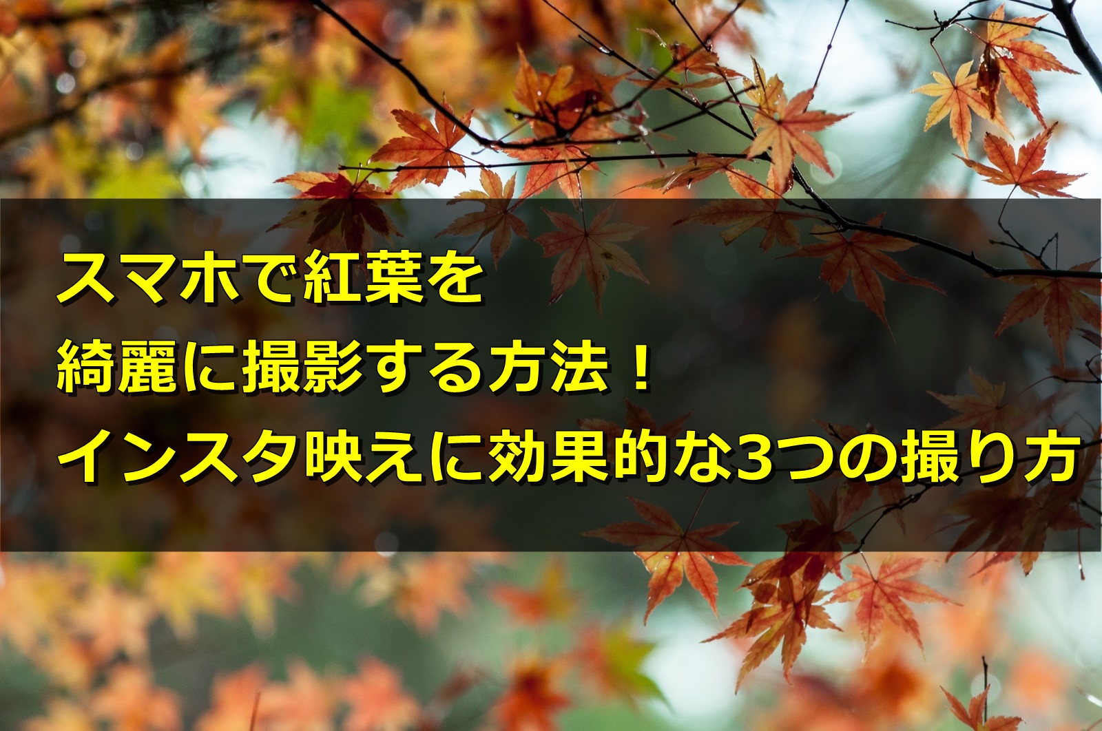 スマホで紅葉を撮影する方法！インスタ映えに効果的な3つの撮り方