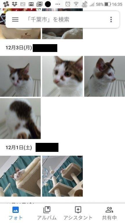 スマホで撮影した写真をアプリの力で整理する簡単な方法 スマホの使い方を考える研究所 ソラトラボ